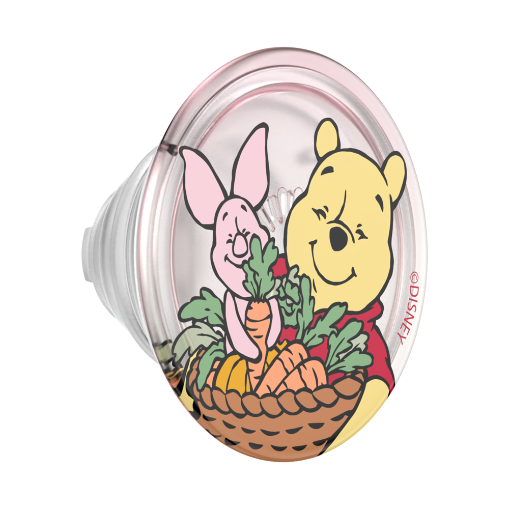 Harvest Friends — MagSafe PopGrip - US 67818