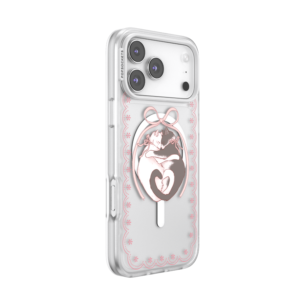 Cat Lovers — iPhone 17 Pro MagSafe Case - US 50506