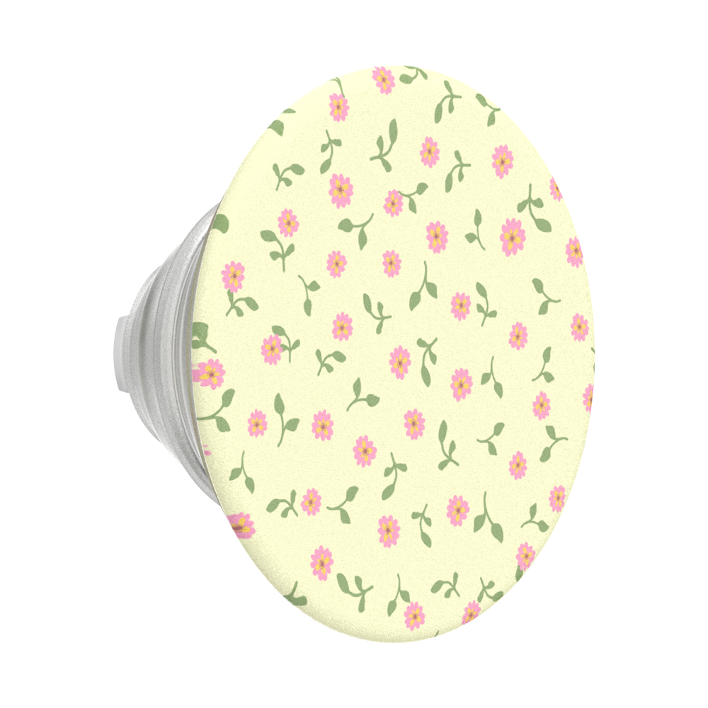 Dainty Prairie — MagSafe PopGrip - US 34390