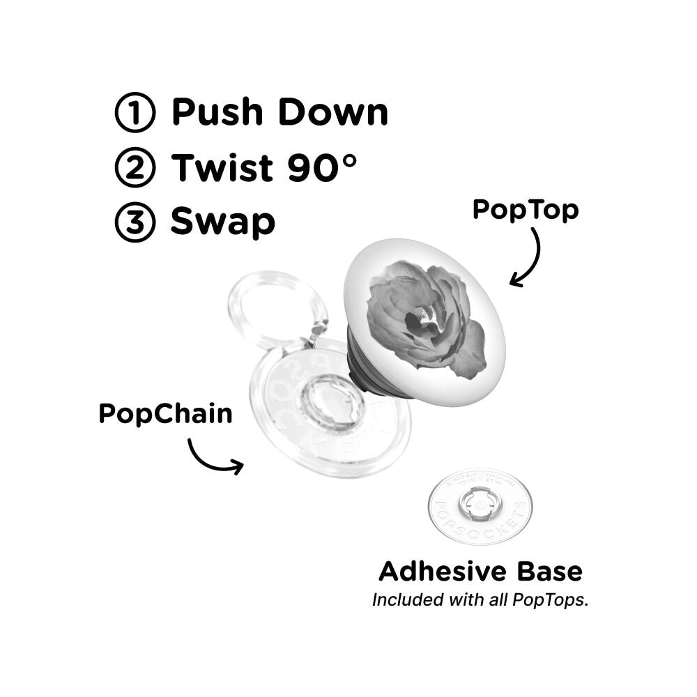Dark Reverie — PopTop - US 30617