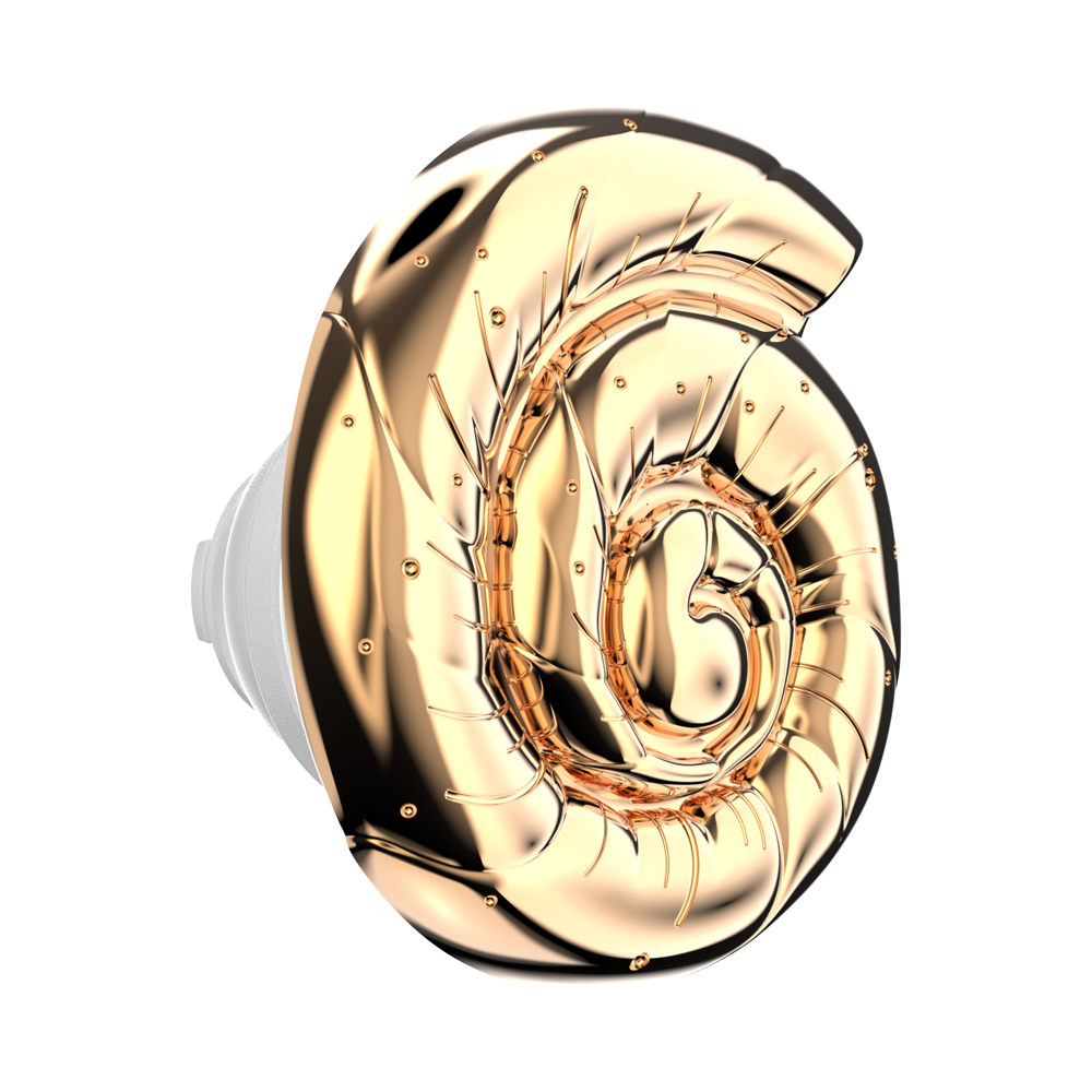 Enamel Nautilus Shell — PopTop - US 02115