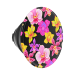 Haute House — PopTop - US 82849