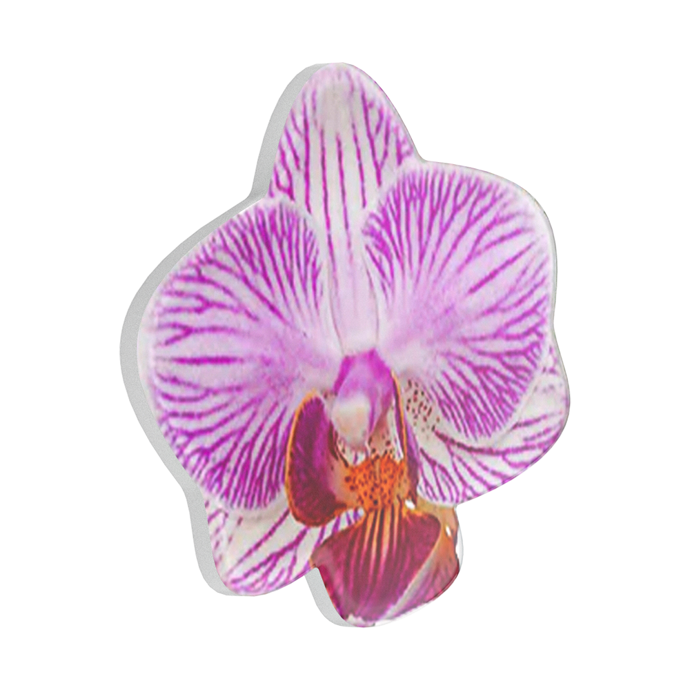 Lilio — PopTop - US 02588