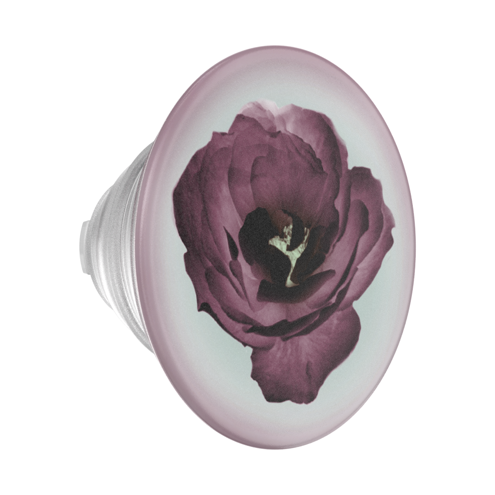 Mauve Reverie — PopTop - US 89826