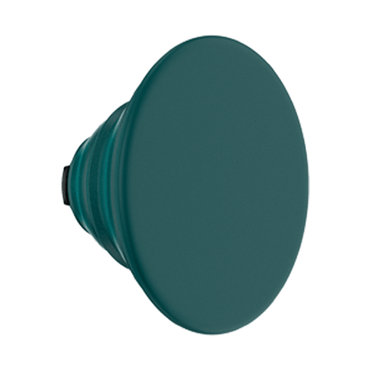 Fresh Pine — PopTop - US 22246