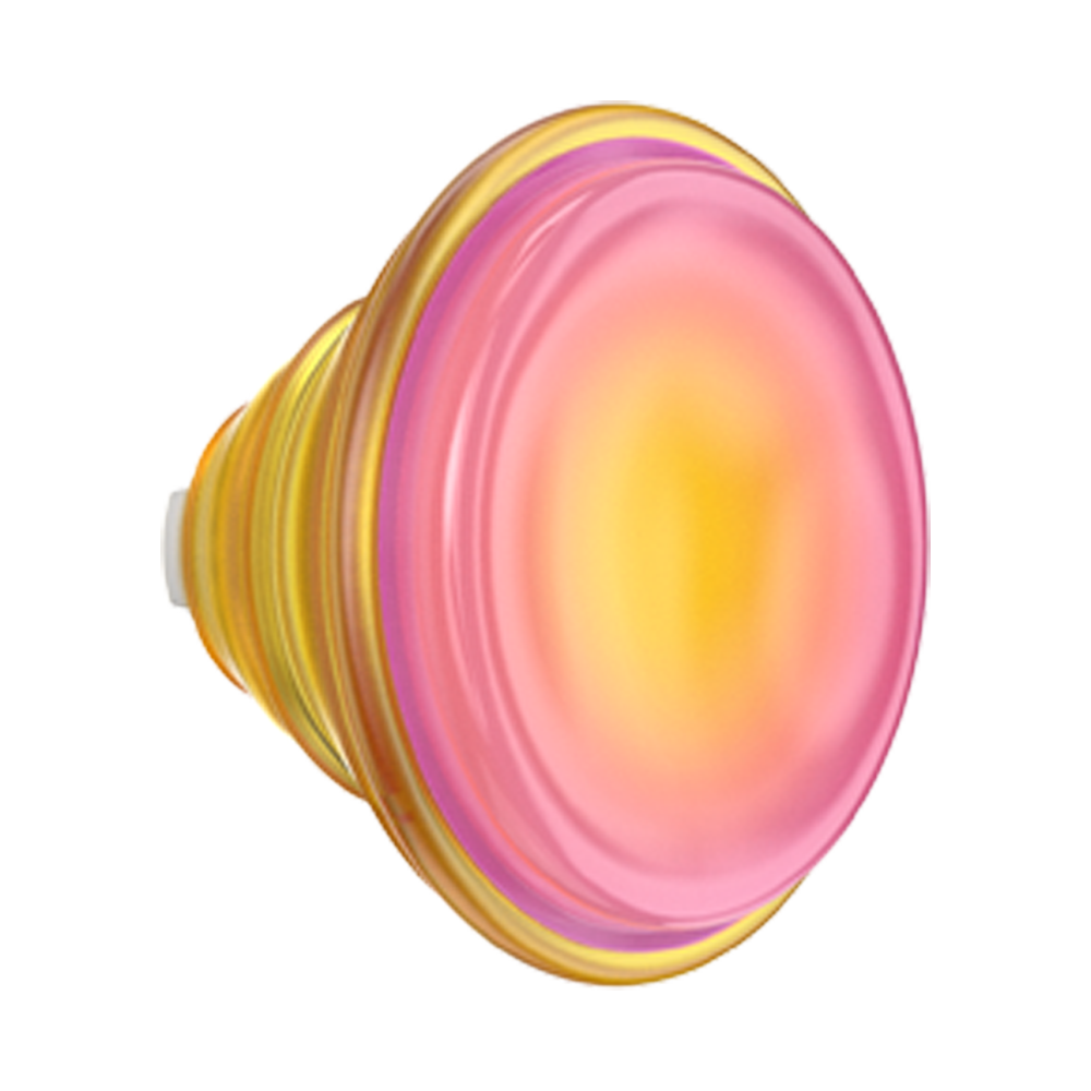 Jelly Sunni B — PopTop - US 14829