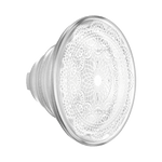 Doily Life — PopTop - US 88719