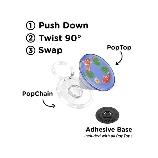 Koi Pond — PopTop - US 07643