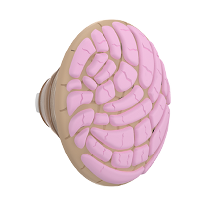 PopOut Concha — PopTop - US 15356