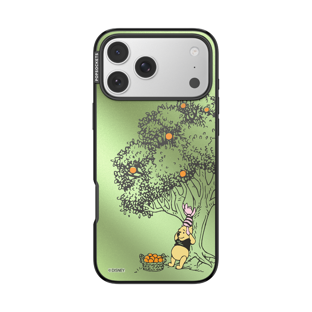 100 Acre Wood — iPhone 17 Pro Max MagSafe Case - US 70963