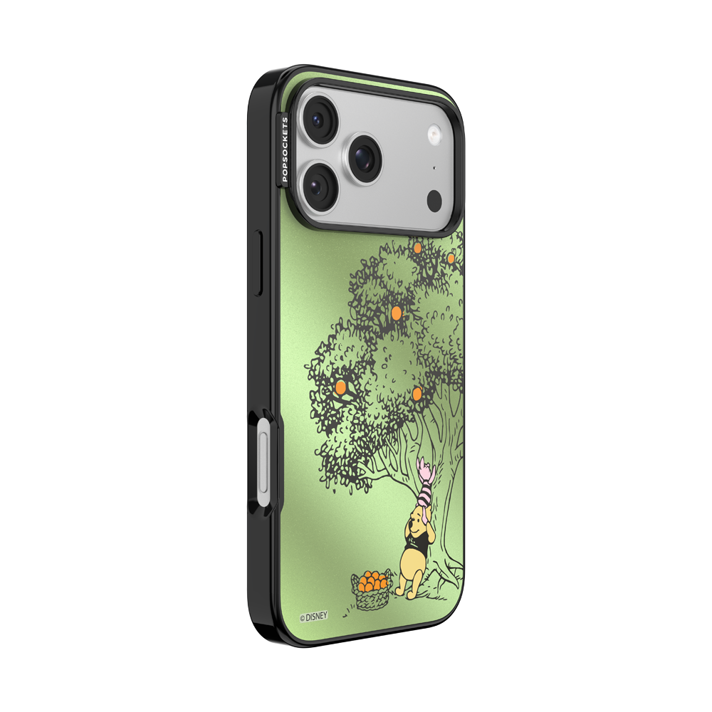 100 Acre Wood — iPhone 17 Pro Max MagSafe Case - US 30858