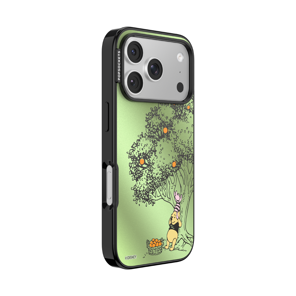 100 Acre Wood — iPhone 17 Pro MagSafe Case - US 39746