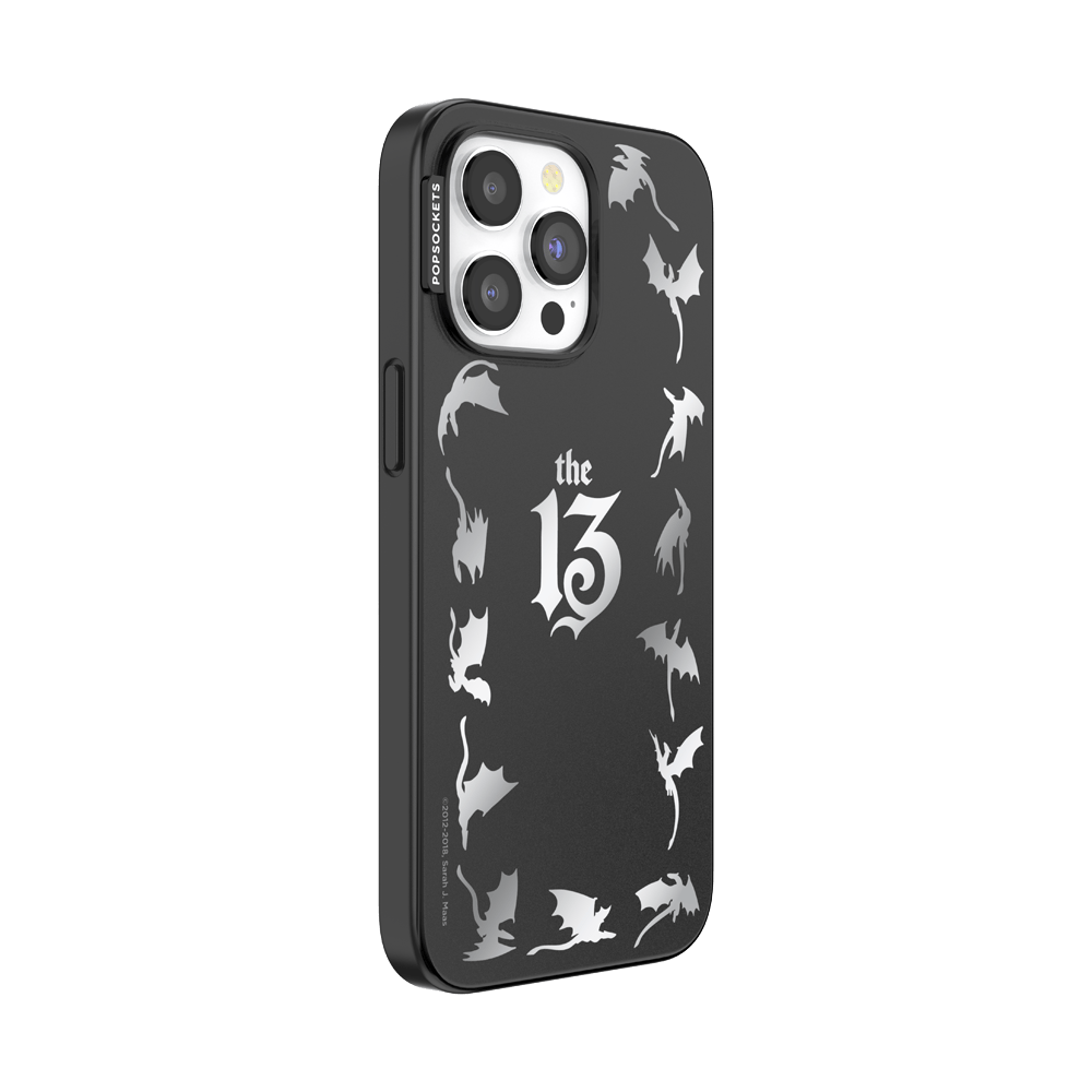 Mirror The 13 — iPhone 15 Pro Max MagSafe Case - US 16636