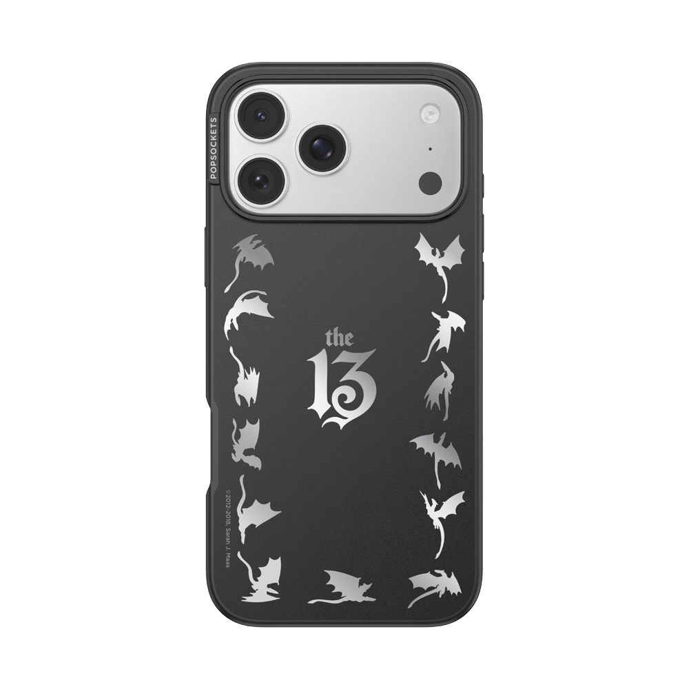 Mirror The 13 — iPhone 17 Pro Max MagSafe Case - US 79113