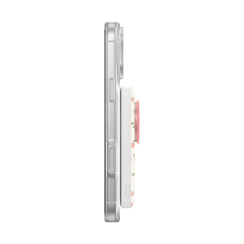 Dainty Prairie — MagSafe PowerPack - US 84216